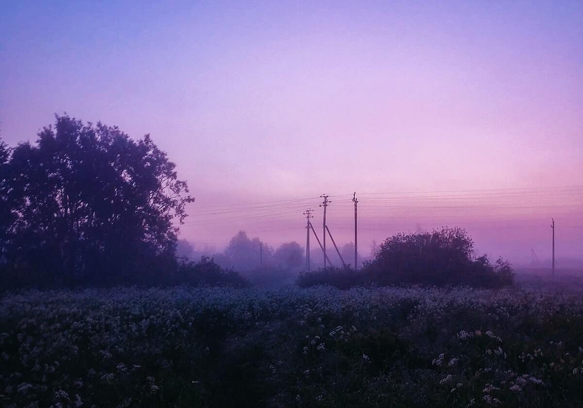 乐鱼官网:开启智慧娱乐新纪元的理想选择